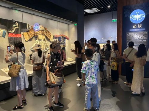 文化納涼 繪就南明夏日清涼畫卷 多元場館解鎖消暑新體驗